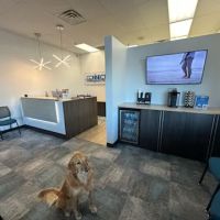 Connect Chiropractic - Delafield ico