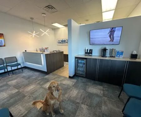 Connect Chiropractic - Delafield