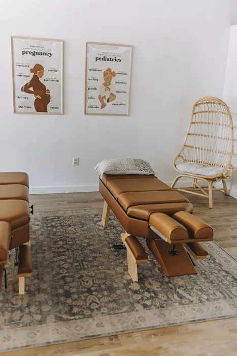 Wellnest Chiropractic Picture 4