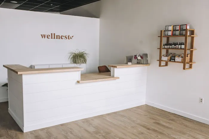 Wellnest Chiropractic Picture 2