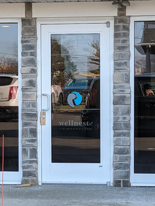 Wellnest Chiropractic Picture 8