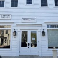 Alleviate Chiropractic and Wellness ico