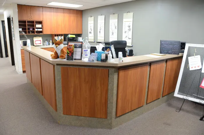 Pure Chiropractic and Wellness Picture 3