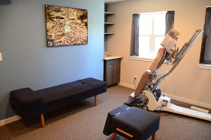 Krieser Chiropractic Family Wellness Center Picture 1