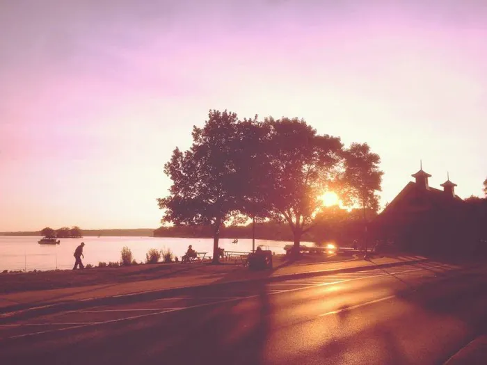 Chiropractic & Wellness Picture 4