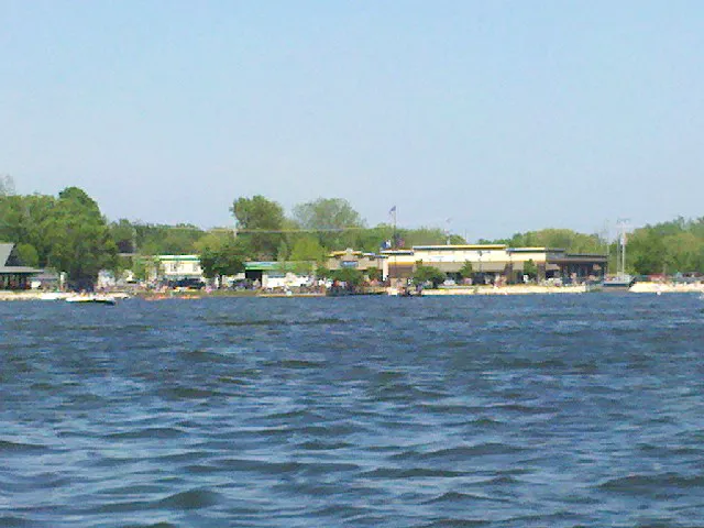 Chiropractic & Wellness Picture 1