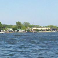 Chiropractic & Wellness ico