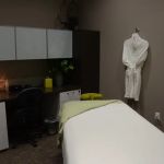 Premier Chiropractic & Wellness - Dr. Renee Jacquette