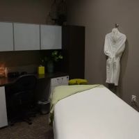 Premier Chiropractic & Wellness - Dr. Renee Jacquette ico