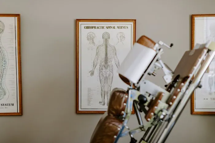 Premier Chiropractic & Wellness - Dr. Renee Jacquette Picture 9