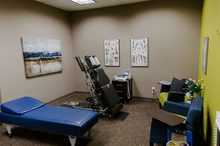 Premier Chiropractic & Wellness - Dr. Renee Jacquette Picture 5