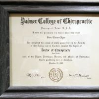 Hyatt Chiropractic: Daniel Hyatt, DC ico