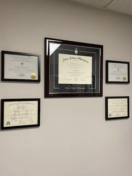 Evolved Chiropractic Picture 2