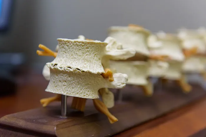 Brookfield Chiropractic Picture 1