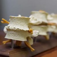 Brookfield Chiropractic ico