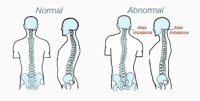 Atlas Chiropractic Office Picture 9