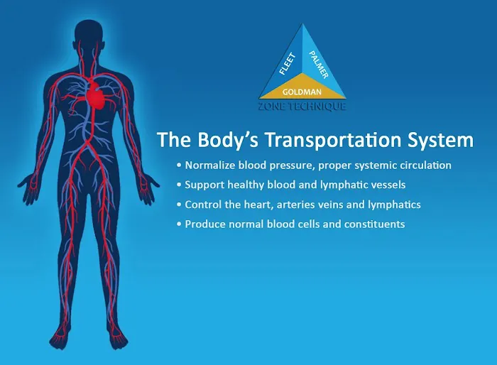 Omnialign Chiropractic & Wellness: Dr. Michael Hecker, DC Picture 1