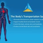 Omnialign Chiropractic & Wellness: Dr. Michael Hecker, DC