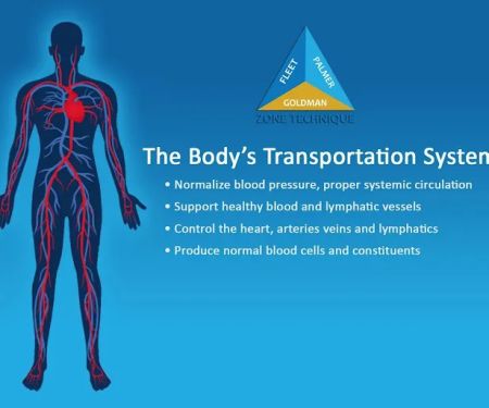 Omnialign Chiropractic & Wellness: Dr. Michael Hecker, DC