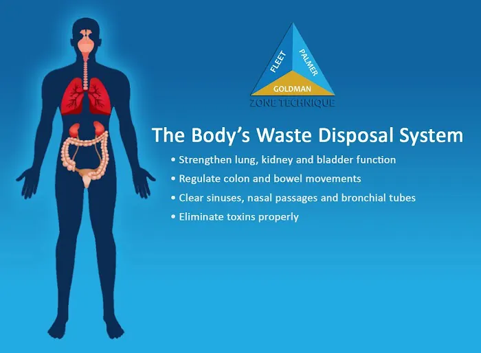 Omnialign Chiropractic & Wellness: Dr. Michael Hecker, DC Picture 7