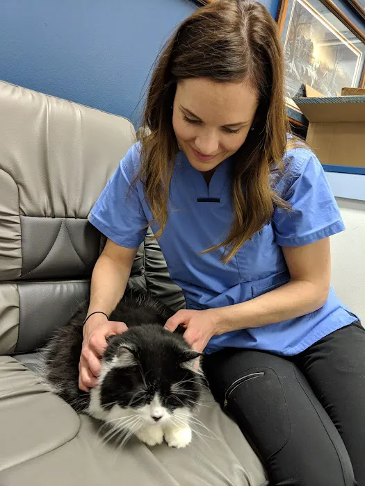 Companion Animal Chiropractic Picture 2