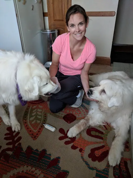 Companion Animal Chiropractic Picture 4