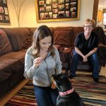 Companion Animal Chiropractic
