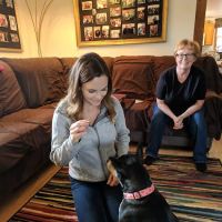 Companion Animal Chiropractic ico