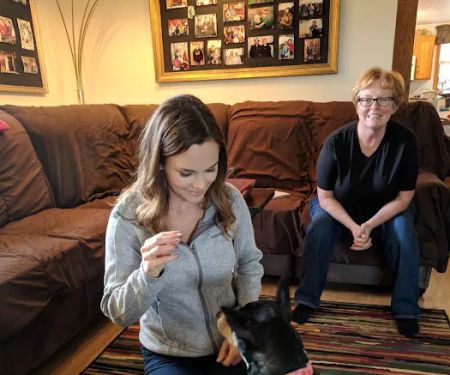Companion Animal Chiropractic