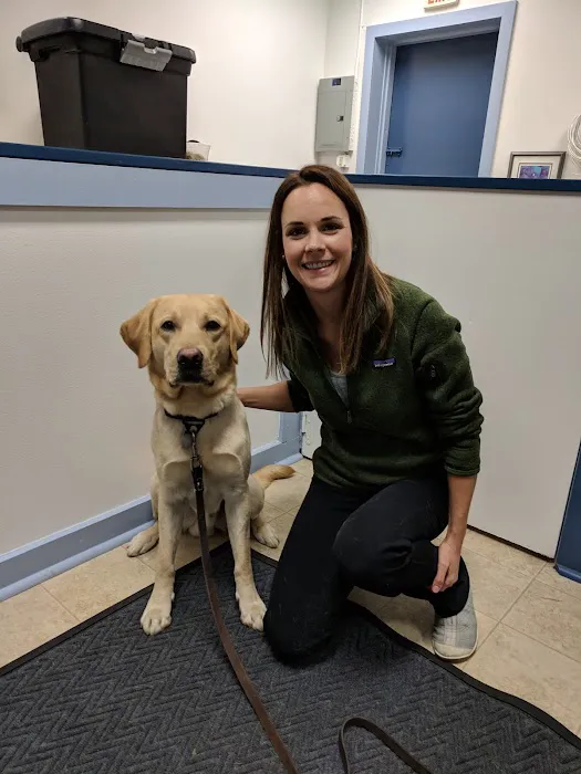 Companion Animal Chiropractic Picture 5