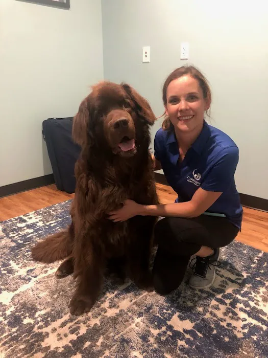 Companion Animal Chiropractic Picture 6