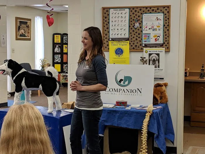 Companion Animal Chiropractic Picture 10