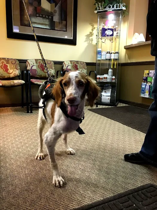 Chiro 4 Critters LLC Picture 6