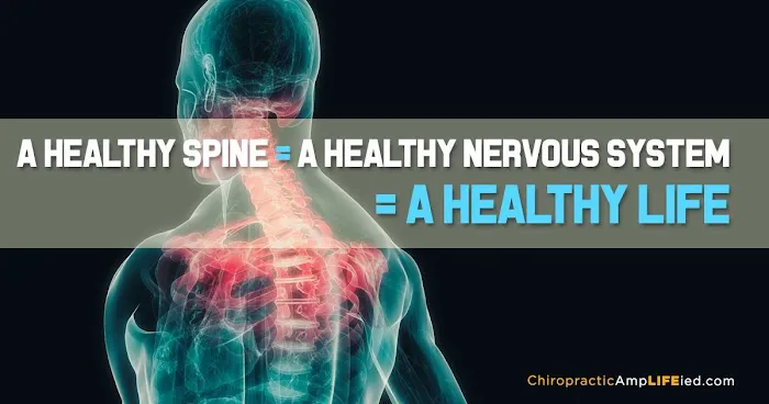 Complete Care Chiropractic Clinic Michelle R Jermier D. C. Picture 1