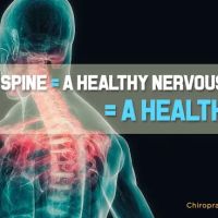 Complete Care Chiropractic Clinic Michelle R Jermier D. C. ico