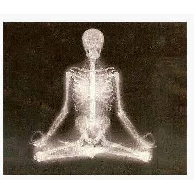 Complete Care Chiropractic Clinic Michelle R Jermier D. C. Picture 5