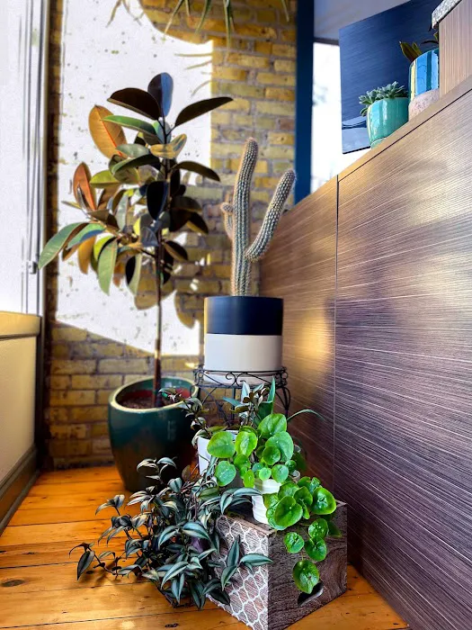 East Side Family Chiropractic - Milwaukee Picture 2