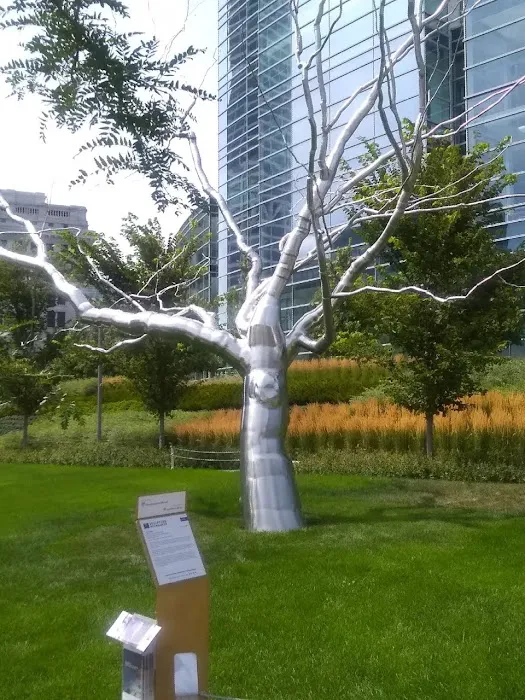 Chiropractic Company of Milwaukee East Picture 7