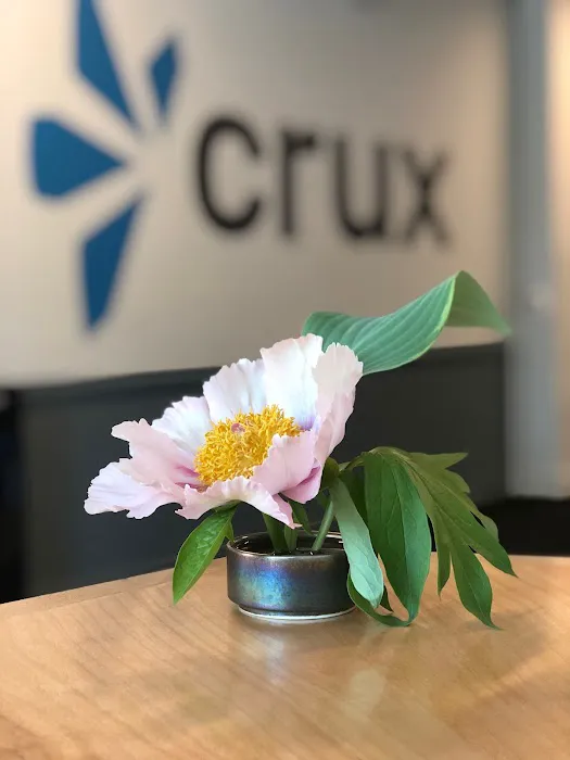 Crux Chiropractic Picture 7