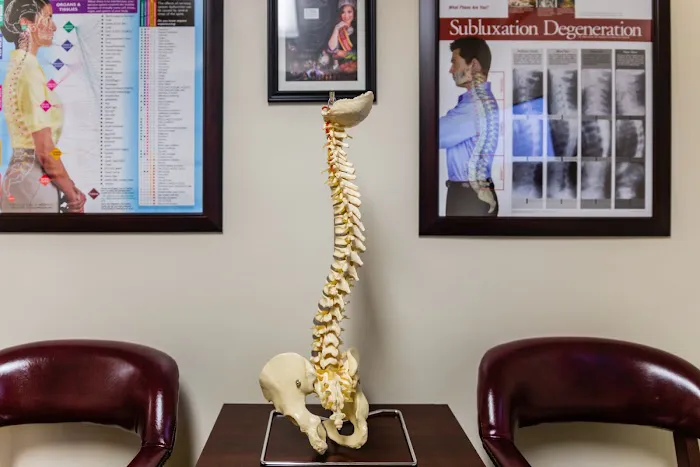 LOR Chiropractic Clinic Picture 8