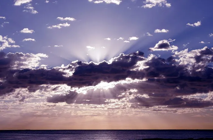 Dr. Edie Beguelin: Chiropractic, Kinesiology, Craniosacral Therapy, Reiki Picture 2