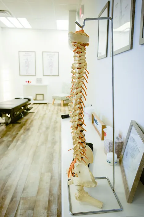 Mequon Family Chiropractic Picture 2