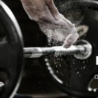 Chiropractic Company of Mequon ico