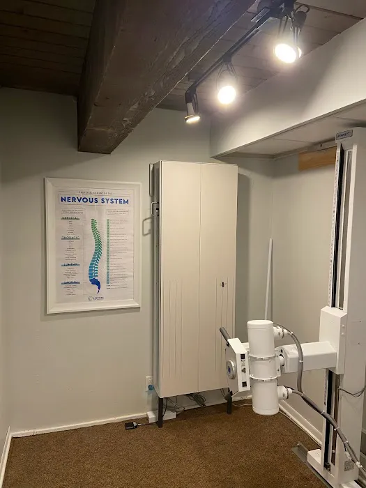 Restore Spine & Wellness Picture 2