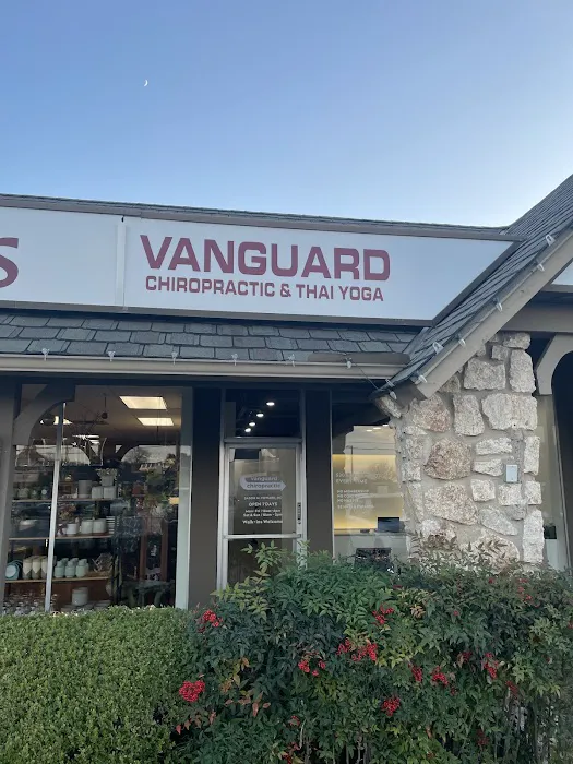 Vanguard Chiropractic Picture 7