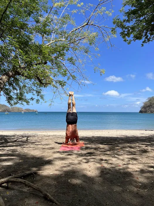 Zoellner Chiropractic Picture 9