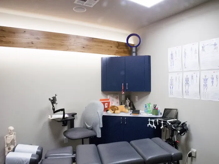 ZOVA Chiropractic Rehab Center Picture 2