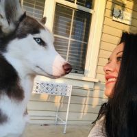 Thomas E. Cate, DC ico