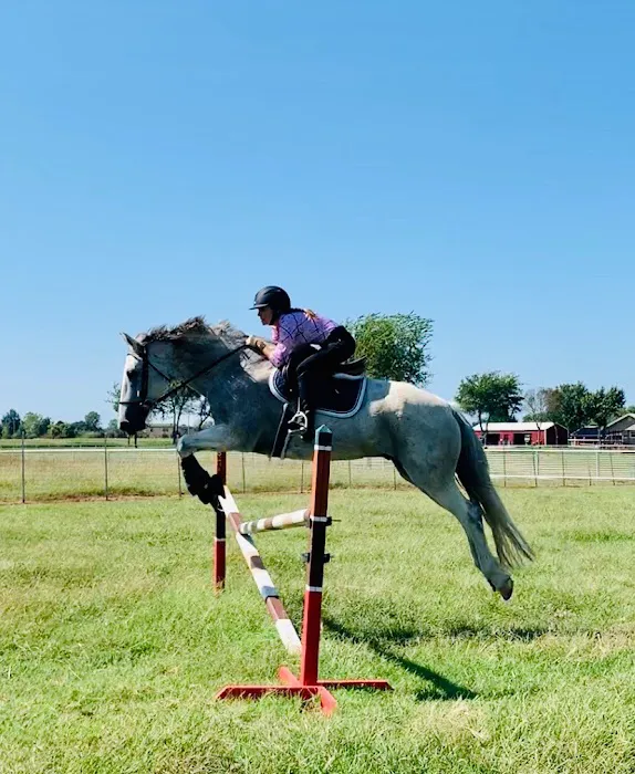 Green Country Animal Chiropractic Picture 1