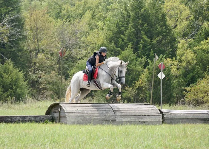 Green Country Animal Chiropractic Picture 3